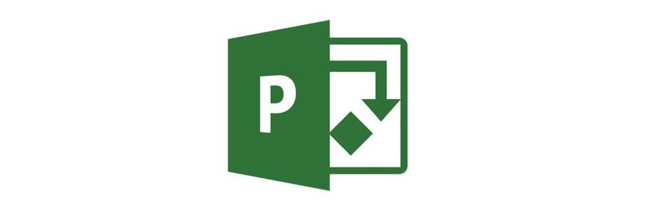MS Project MS Project